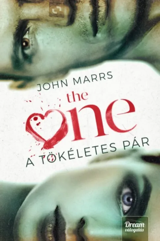 Expressz kézbesítés The One - A tökéletes pár - John Marrs