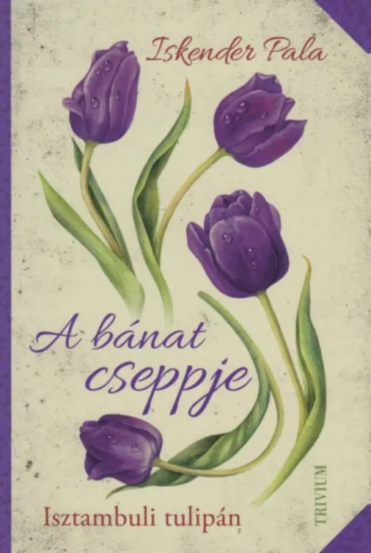 A bánat cseppje - Isztambuli tulipán Vásárlói kedvenc
