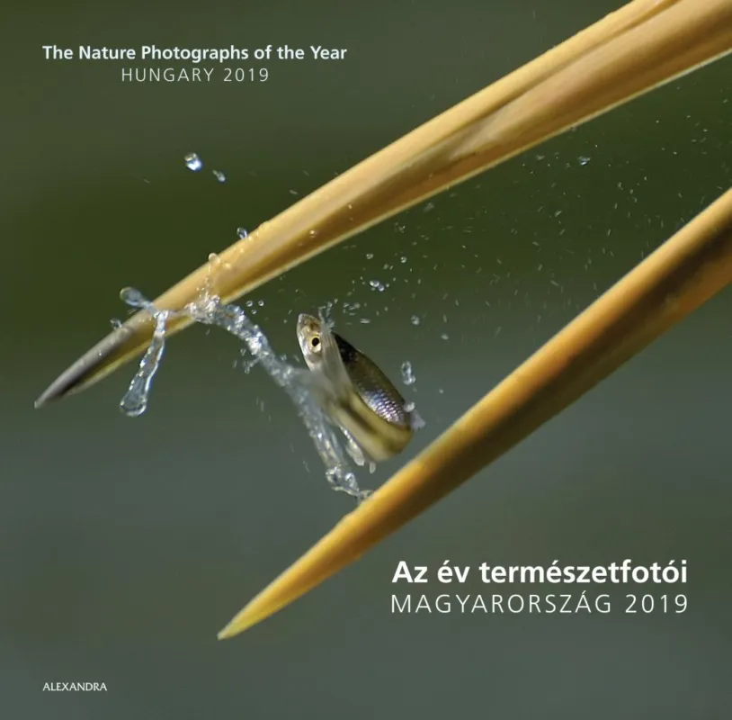 Az év természetfotói - Magyarország 2019 Akció
