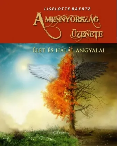 Árengedmény A mennyország üzenete - Élet és halál angyalai