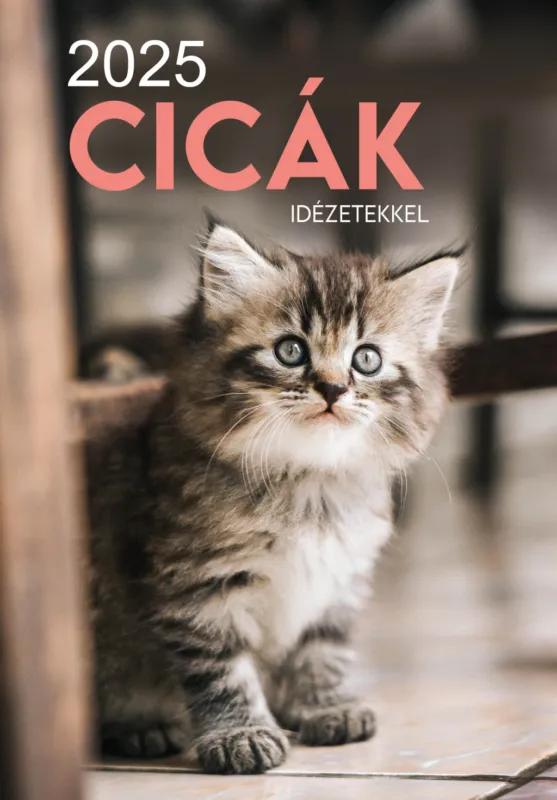 Gyors szállítás 2025 Naptár: Cicák