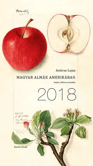 Magyar almák Amerikában Vásárlói kedvenc