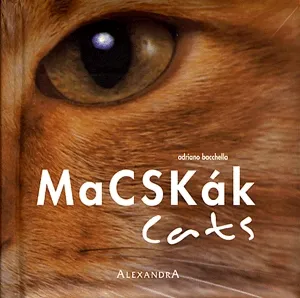 Macskák / Cats Árengedmény