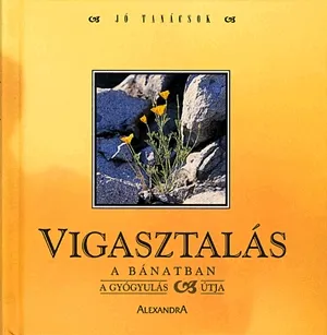 Vigasztalás a bánatban Akció