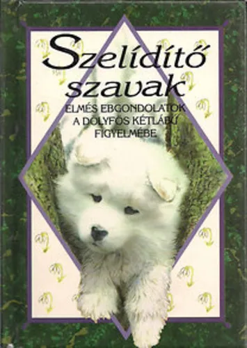 Szelídítő szavak Csak ma