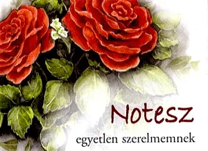 Szuper akció Notesz egyetlen szerelmemnek