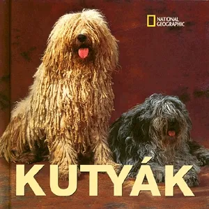 Azonnali szállítás Kutyák