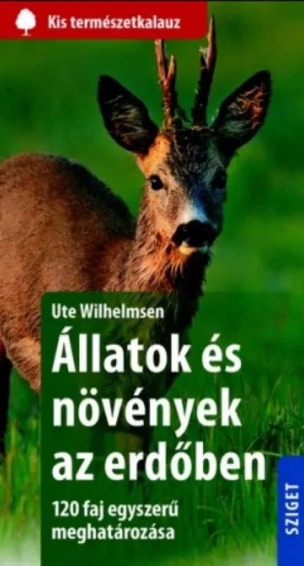 Rendeld meg most Állatok és növények az erdőben - 120 faj egyszerű meghatározása - Ute Wilhelmsen