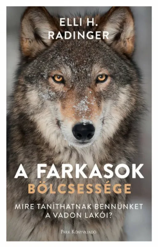 Olcsóbb A farkasok bölcsessége - Mire taníthatnak bennünket a vadon lakói?