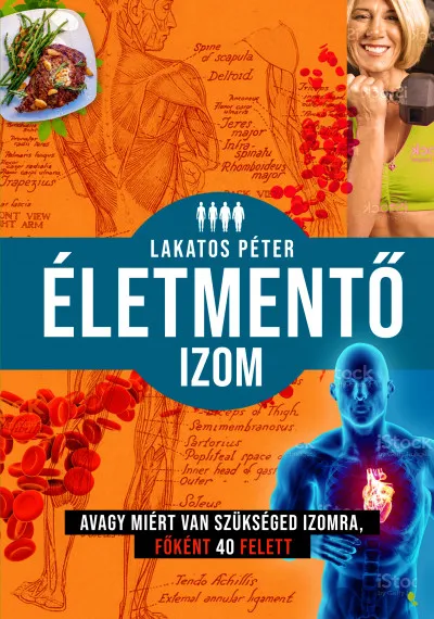 Életmentő izom - avagy miért van szükséged izomra, főként 40 felett Kedvezmény