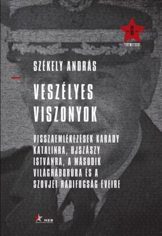 Veszélyes viszonyok - Székely András Azonnali szállítás