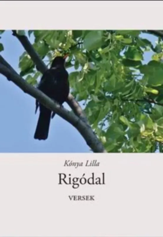 Rigódal - Kónya Lilla Szuper akció