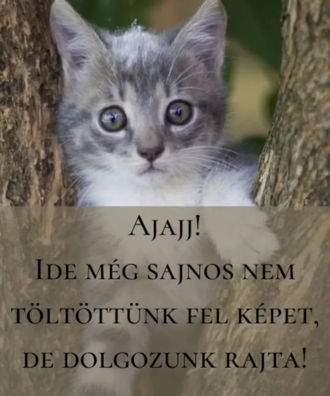 Vásárlói kedvenc Népi írók szellemisége - Tanulmányok - Neszmélyi Károly