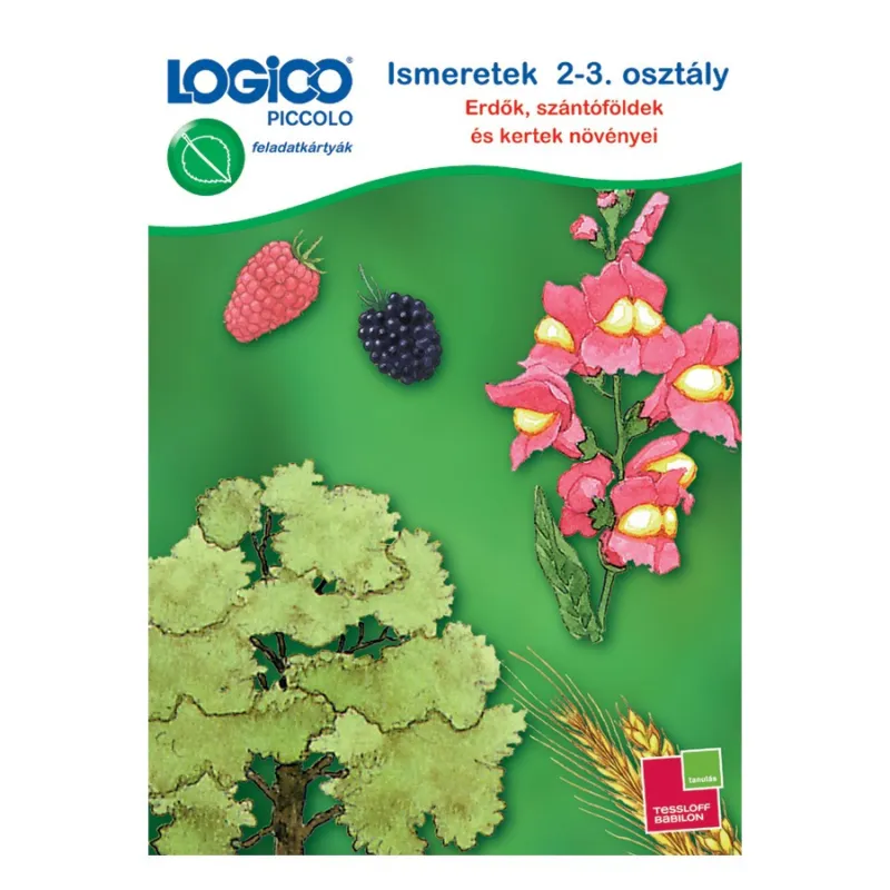 Ismeretek: 2-3. osztály, erdők, szántóföldek és kertek növényei - LOGICO Piccolo Különleges ajánlat
