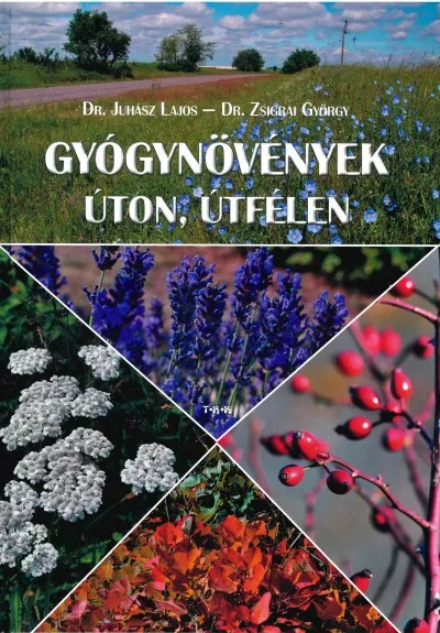 Gyógynövények úton, útfélen Ne maradj le