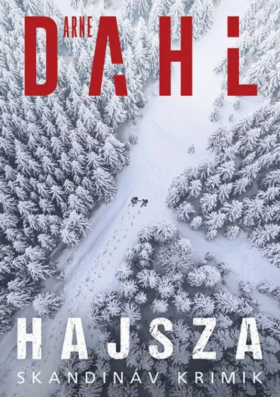 Vedd meg online Hajsza - Arne Dahl