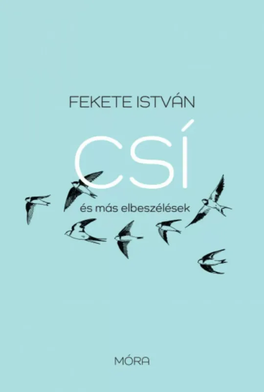 Csak ma Csí és más elbeszélések - felújított kiadás - Fekete István
