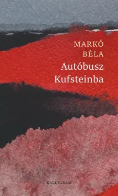 Biztonságos fizetés Autóbusz Kufsteinba - Markó Béla