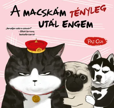 Legjobb ár A macskám tényleg utál engem - Macska és Kutya 2.