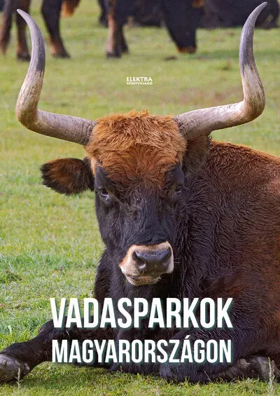 Vadasparkok Magyarországon - Bernáth István Expressz kézbesítés