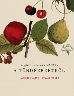 Gyümölcsök és praktikák a Tündérkertből - Ambrus Lajos - Kovács Gyula Népszerű