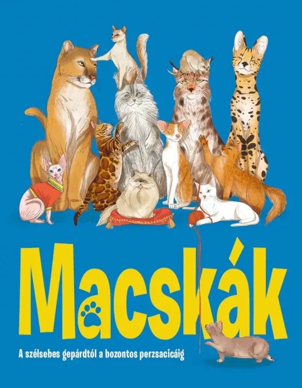 Kiárusítás Macskák - A szélsebes gepárdtól a bozontos perzsacicáig - Eliza Jeffery Griffin