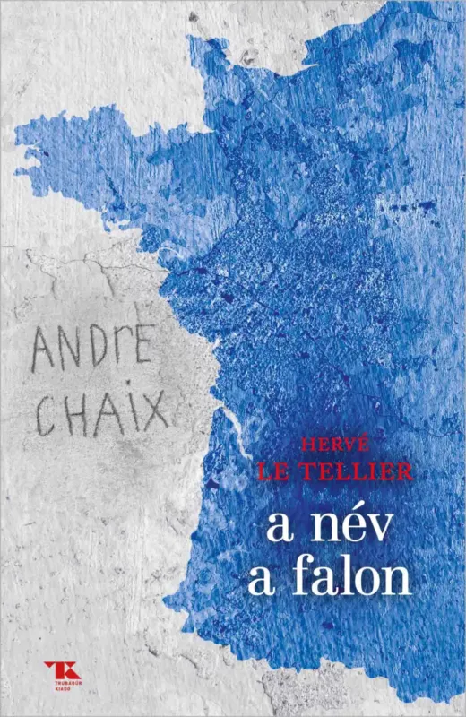 A név a falon - Hervé le Tellier Olcsó