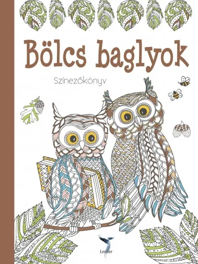 Bölcs baglyok Színezőkönyv Rendeld meg most