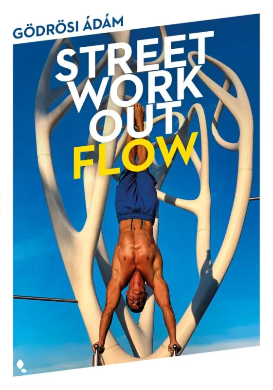 STREET WORKOUT FLOW Csak ma