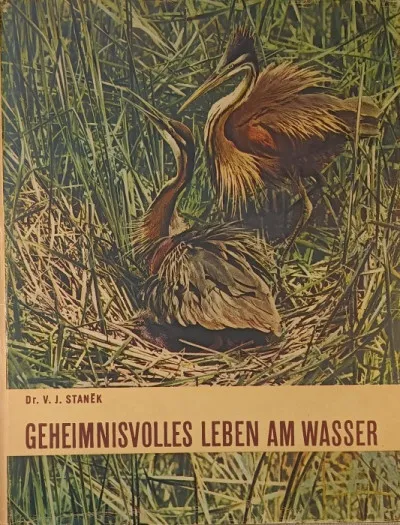Geheimnisvolles leben am Wasser Vásárlói kedvenc