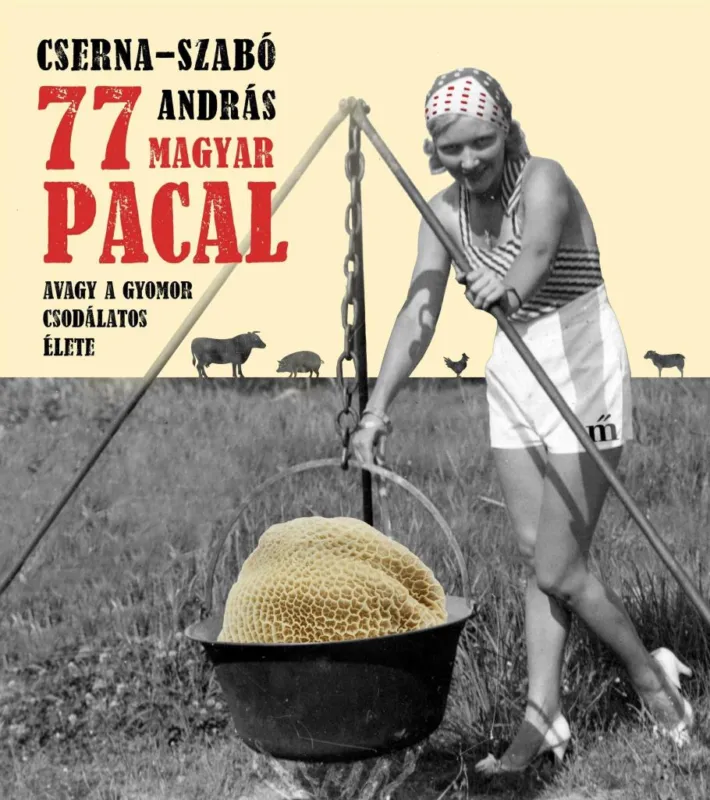 Prémium 77 MAGYAR PACAL
