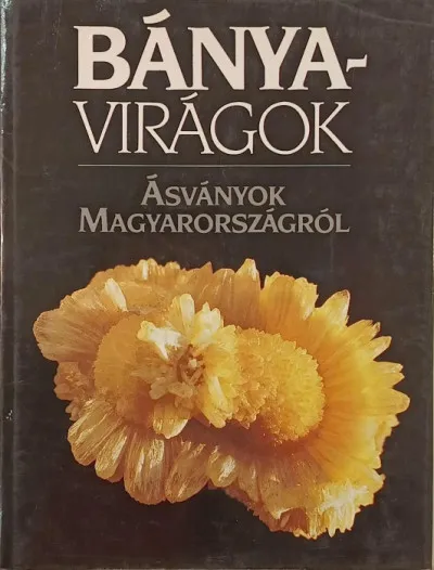 Vedd meg online Bányavirágok - Ásványok Magyarországról
