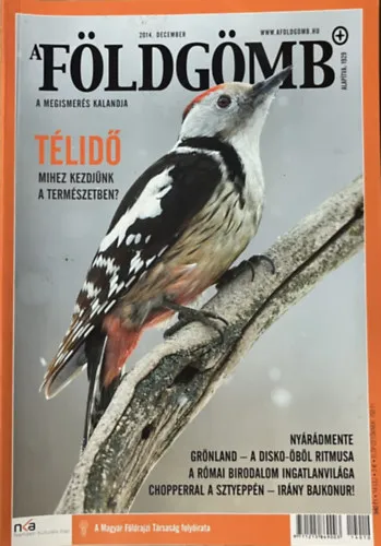 A Földgömb 2014. december Szezonális akció