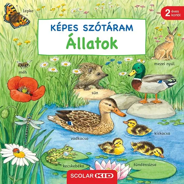 ÁLLATOK - KÉPES SZÓTÁRAM Legnépszerűbb