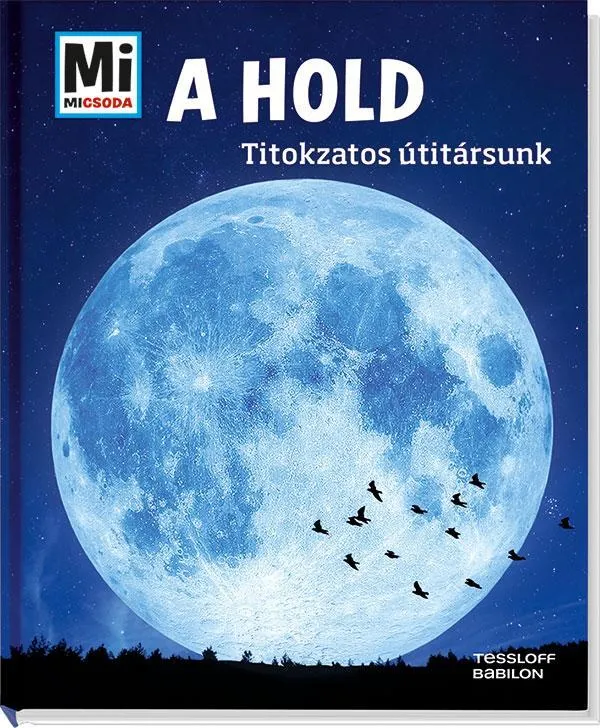 Ajánlat A HOLD - TITOKZATOS ÚTITÁRSUNK - MI MICSODA