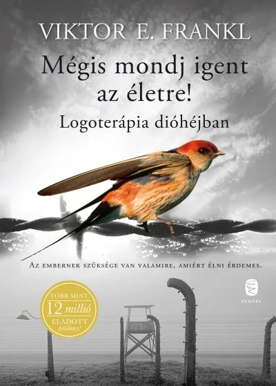 Akciós ár Mégis mondj igent az életre! - Logoterápia dióhéjban