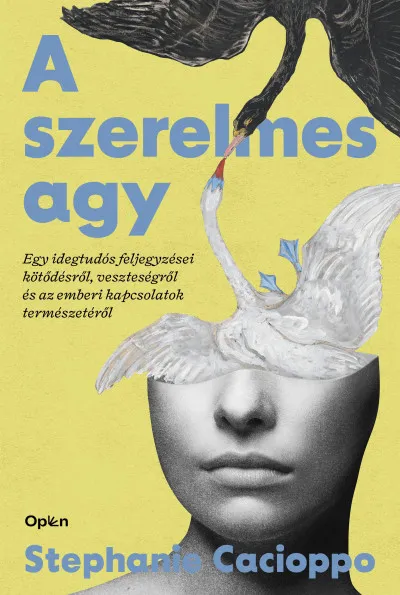 A szerelmes agy Rendeld meg most