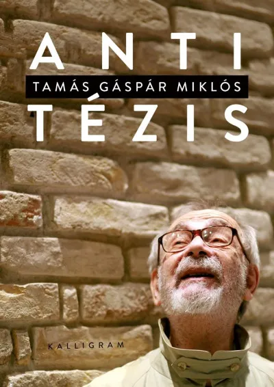 Antitézis - Válogatott tanulmányok 2001-2020 Kedvezményes ár