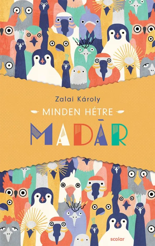 MINDEN HÉTRE MADÁR Outlet