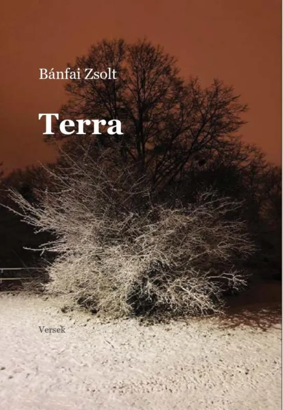 Népszerű TERRA