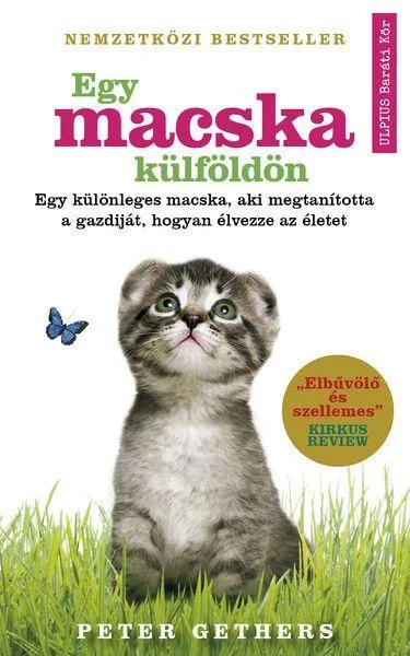 Szuper ajánlat EGY MACSKA KÜLFÖLDÖN