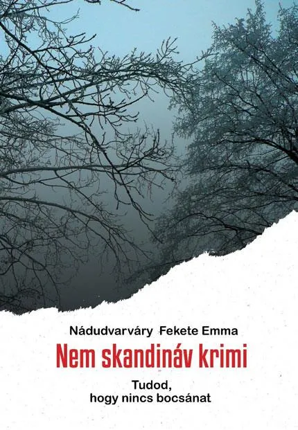 Vedd meg most NEM SKANDINÁV KRIMI - TUDOD, HOGY NINCS BOCSÁNAT