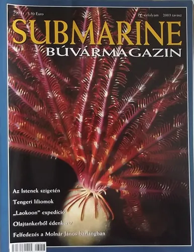 Submarine Búvármagazin 2003. tavasz Alacsony ár