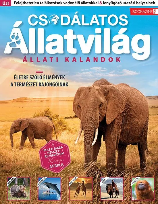 Outlet FÜLES BOOKAZINE - CSODÁLATOS ÁLLLATVILÁG - ÁLLATI KALANDOK (2024/01)