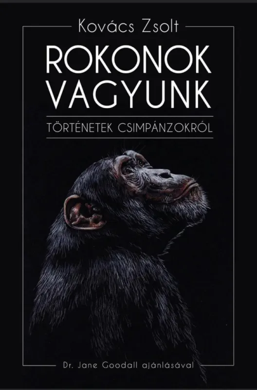 Újdonság ROKONOK VAGYUNK- TÖRTÉNETEK CSIMPÁNZOKRÓL