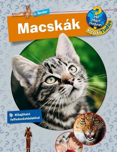 Macskák - Profi Tudás Kihagyhatatlan ajánlat