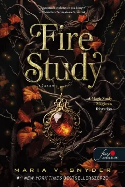 Újdonság Fire Study - Tűztan