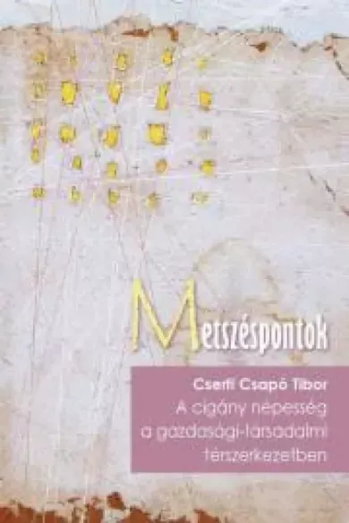 Expressz szállítás A cigány népesség a társadalmi-gazdasági térszerkezetben - E-könyv