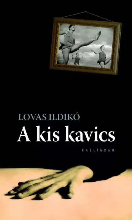 Azonnal elérhető A kis kavics - E-könyv