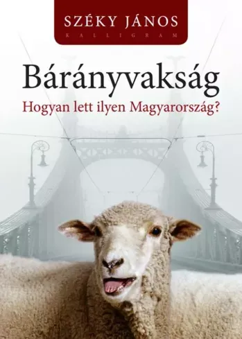 Azonnal elérhető Bárányvakság - E-könyv